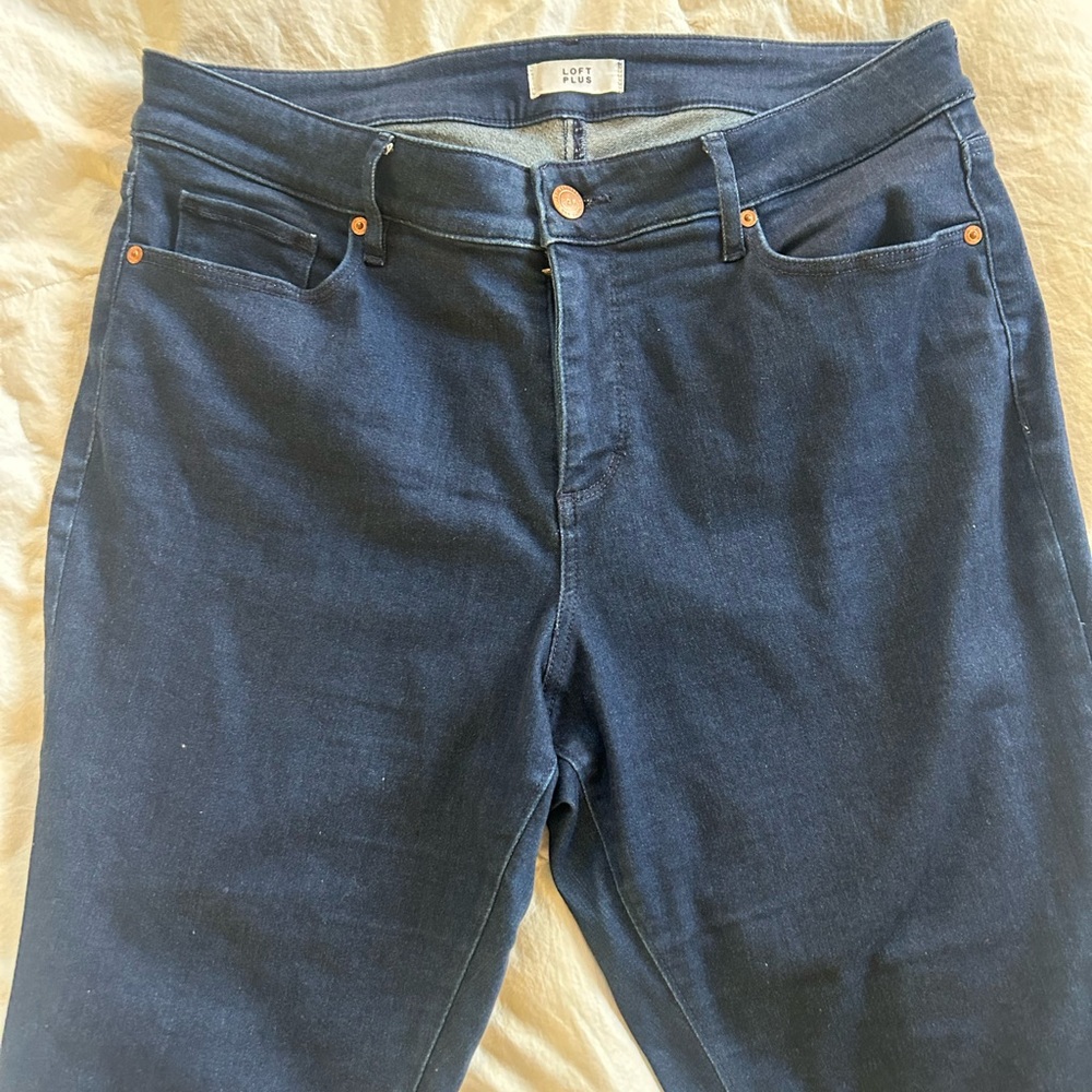 EUC Loft High Waist Skinny jeans